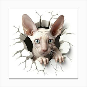 Sphynx Cat 2 Canvas Print