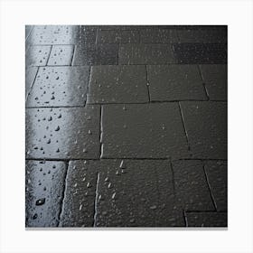 Rain Drops On The Floor 1 Canvas Print