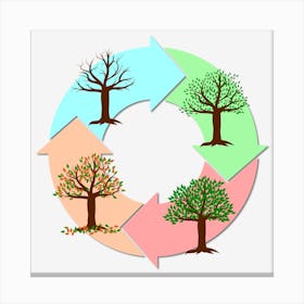 Seasons Of The Year Year Tree Canvas Print