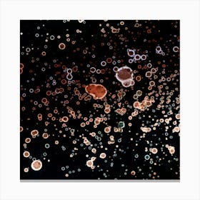 Parade Of Planets Canvas Print