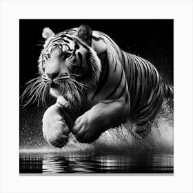 Tiger Running In Water Canvas Print