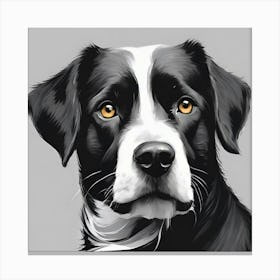 Border Collie Canvas Print