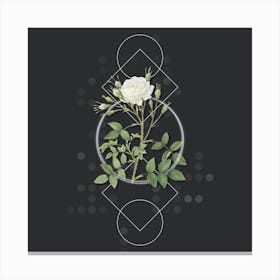 Vintage White Rose of Rosenberg Botanical with Geometric Line Motif and Dot Pattern n.0034 Canvas Print