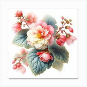 Flower of Begonia 1 Canvas Print