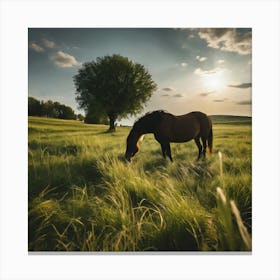 Horse Grazing In The Grass Canvas Print