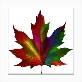 Rainbow Maple Leaf Canvas Print