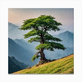 Lone Tree In The Mountains 2 Canvas Print