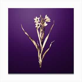 Gold Botanical Sword Lily on Royal Purple n.0242 Canvas Print