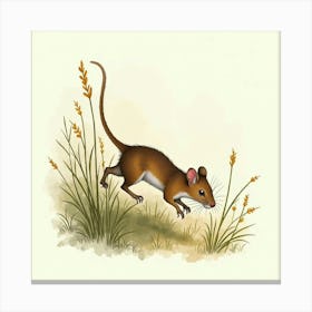 Rat In Grass 1 Canvas Print