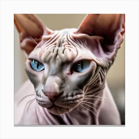 Sphynx Cat Canvas Print