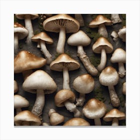 Mushroom Collection Canvas Print