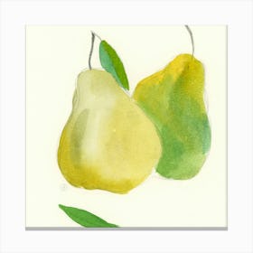 Two Pears 1 Canvas Print