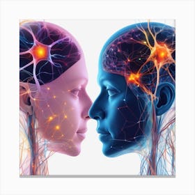 Brain And Nervous System 31 Canvas Print