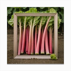 Rhubarb 83 Canvas Print