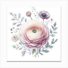 Ranunculus Canvas Print