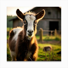 Field Domestic Agriculture Cute Nature Beautiful Rural Herd Farming Animal Farm Farm Anim (11) Canvas Print