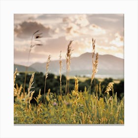 Northern New Mexico Wilderness Canvas Print