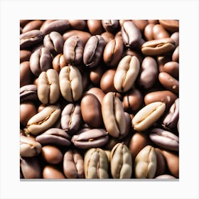 Coffee Beans 266 Canvas Print