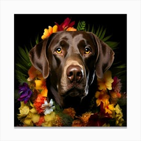 Flower Dog Chocolate Labrador Canvas Print