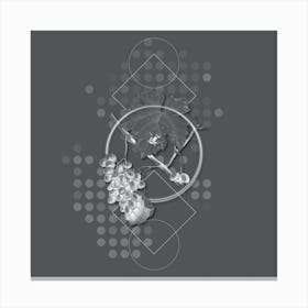 Vintage Barbera Grape Botanical with Line Motif and Dot Pattern in Ghost Gray n.0206 Canvas Print