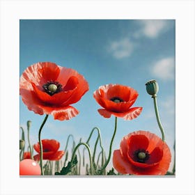 Poppies Canvas Print