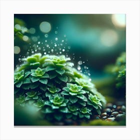 Moss And Plants Canvas Print