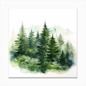 Watercolor Of Pine Trees Canvas Print