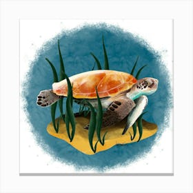 Tortue de mer Canvas Print