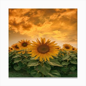 Sunflowers At Sunset Canvas Print