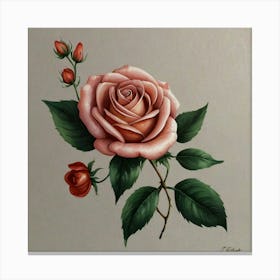 Pink Rose 1 Canvas Print