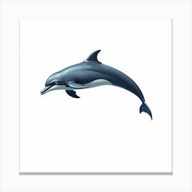 Dolphin In The Water Canvas Print