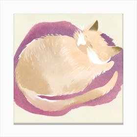 Cat Sleeping Canvas Print