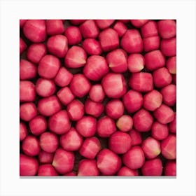 Red Radish 1 Canvas Print