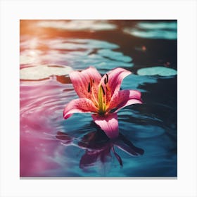 Pink Lily In Water Canvas Print