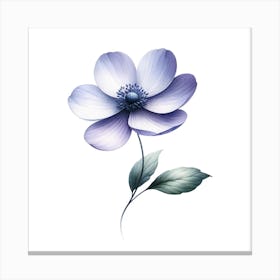 Anemone Flower Canvas Print