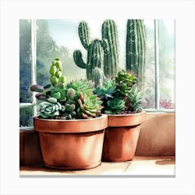 Cacti And Succulents 23 Canvas Print