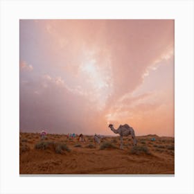 Camels In The Desert 4 Canvas Print