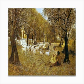 Olive Grove Canvas Print