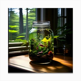 Jar Of Plants 1 Canvas Print