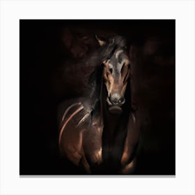 Gorgeous Horse (1) Canvas Print