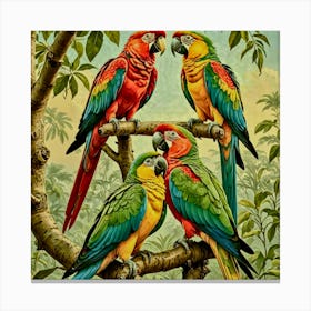 Parrots On A Branch 2 Canvas Print