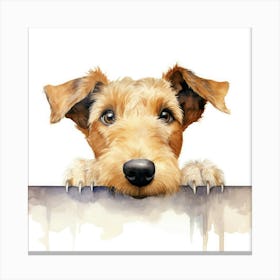 Irish Terrier 13 Canvas Print