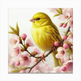 Canary 6 Canvas Print