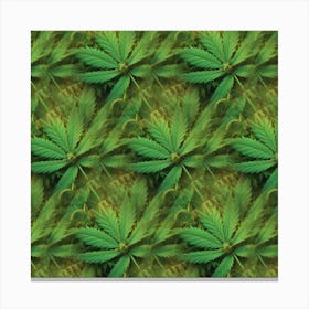 Marijuana Leaves 1 Canvas Print