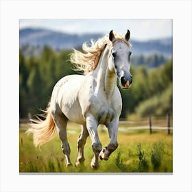 White Horse Galloping In The Field Canvas Print