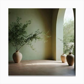 Terracotta Vases Canvas Print