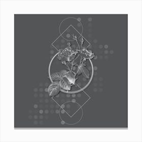 Vintage Anemone Centuries Rose Botanical with Line Motif and Dot Pattern in Ghost Gray n.0058 Canvas Print