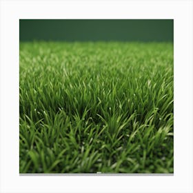 Green Grass 40 Canvas Print