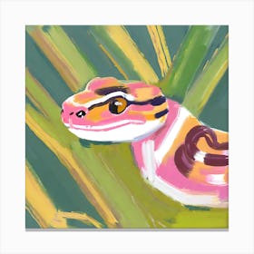 Corn Snake 05 Canvas Print