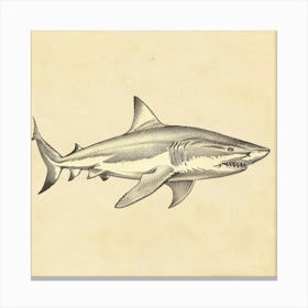 Largetooth Cookiecutter Shark Vintage Illustration 4 Canvas Print